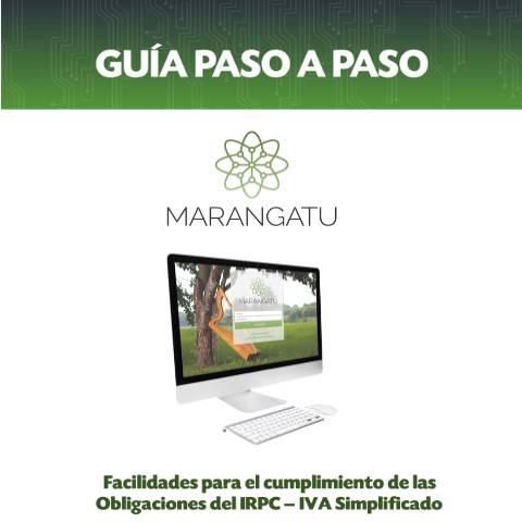 Vista previa del documento Guías paso a paso IRPC IVA Simplificado — Guias / IVA, Paraguay