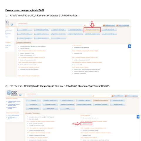 Pré-visualização do documento RERCT-Geral: Roteiro para acesso ao DARF de pagamento — Declarações, Brasil