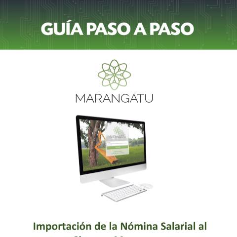 Vista previa del documento Guía Paso a Paso - Importación de la Nómina Salarial al Sistema Marangatu — Guias, Paraguay