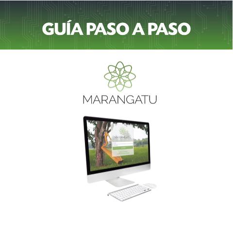 Vista previa del documento Guía paso a paso - DJI-Ajustes de Precios a través del Hechauka — Guias, Paraguay