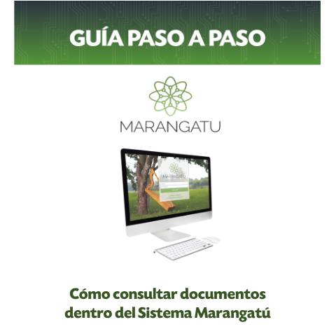 Vista previa del documento GUÍA PASO A PASO - CÓMO CONSULTAR DOCUMENTOS — Guias, Paraguay