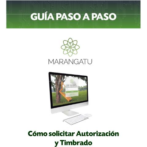 Vista previa del documento Guias paso a paso Nuevo Marangatu - Cómo solicitar Autorización y Timbrado Factura Virtual — Guias / TIMBRADO, Paraguay