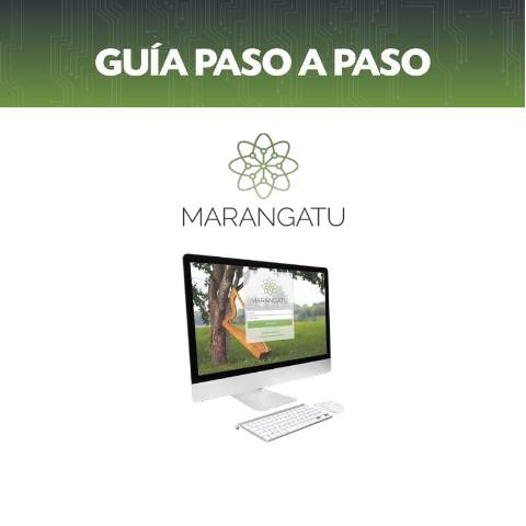 Vista previa del documento Guía Paso a Paso - Baja de Timbrado Virtual — Irp / TIMBRADO, Paraguay