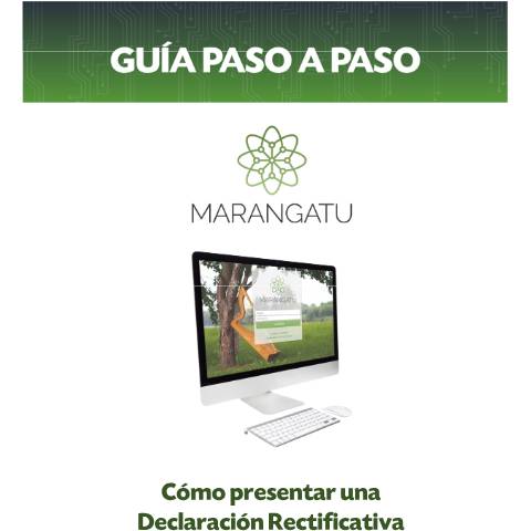 Vista previa del documento Guía Paso a Paso Nuevo Marangatu - Cómo Presentar una Declaración Jurada Rectificativa — Declaraciones Juradas1 / IVA, Paraguay