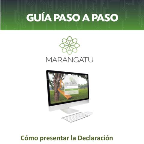 Vista previa del documento Guía Paso a Paso - Cómo presentar la Declaración Jurada Informativa del IDU — Guias / IVA, Paraguay