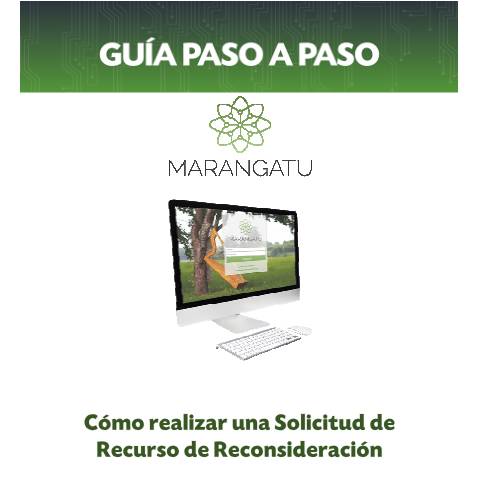 Vista previa del documento Guias paso a paso - Solicitud de Recurso de Reconsideración — Guias, Paraguay