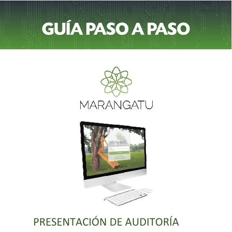 Vista previa del documento Guia Paso a Paso - Presentación de Auditoria Impositiva Ajuste de Precios 2014 (1) — Guias / IVA, Paraguay