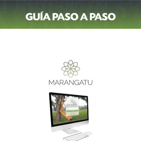 Vista previa del documento Guía Paso a Paso - Presentación DJI NUM 7 - Rectificativa — Declaraciones Juradas1 / IVA, Paraguay