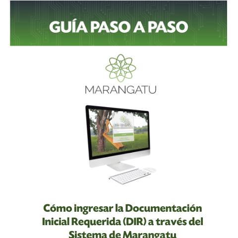 Vista previa del documento Guía Paso a Paso - Presentación Documentación Inicial Requerida (DIR) — Créditos Fiscales1, Paraguay