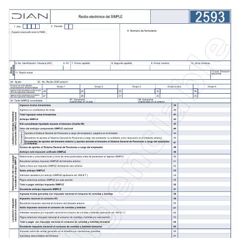Vista previa del documento Recibo electrónico del SIMPLE. Resolución 000081 del 30 de abril de 2024 — Año 2025, Colombia (CERFA n°F2593-2025)
