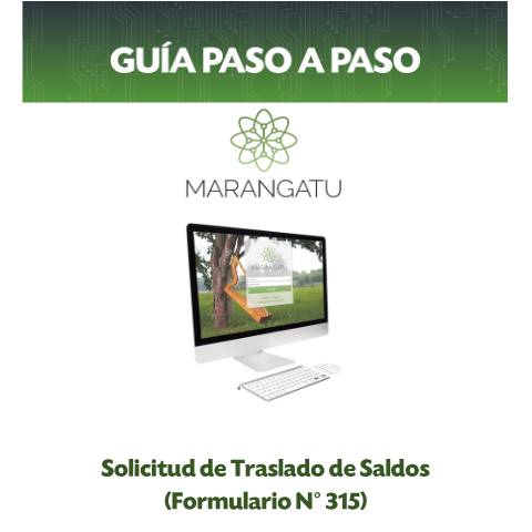 Vista previa del documento Guía Paso a Paso - Solicitud de Traslado de Saldos — Iva, Paraguay