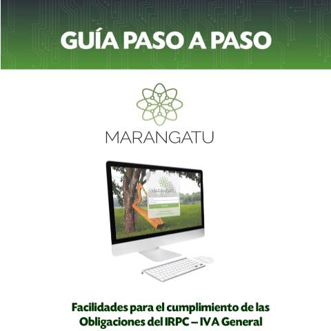 Vista previa del documento Guías paso a paso IRPC IVA General — Guias / IVA, Paraguay