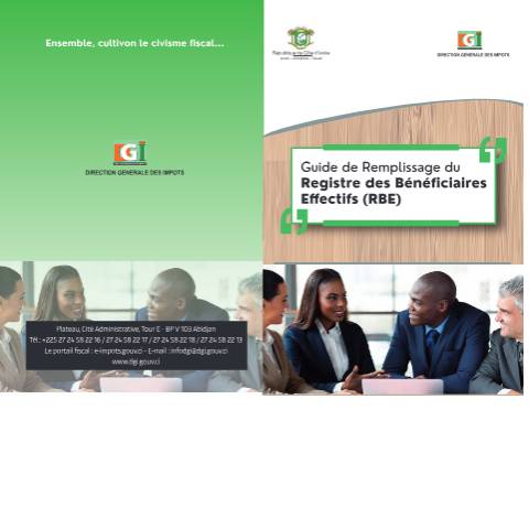 Aperçu du document Guide de remplissage — Document officiel, Côte d'Ivoire