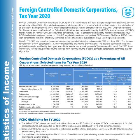 Document preview: IRS Publication p5601 — IRS, United States (CERFA n°PUB-5601)