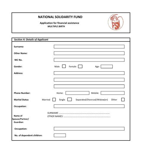 Document preview: Multiple Birth — Document, Mauritius (CERFA n°Multiple-Birth)