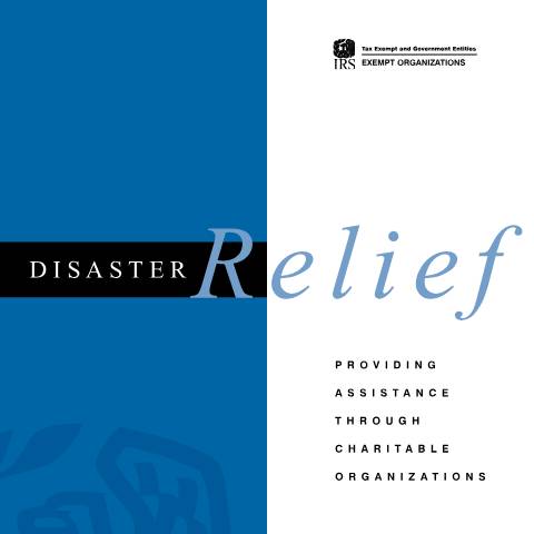 Document preview: IRS Publication p3833 — IRS, United States (CERFA n°PUB-3833)