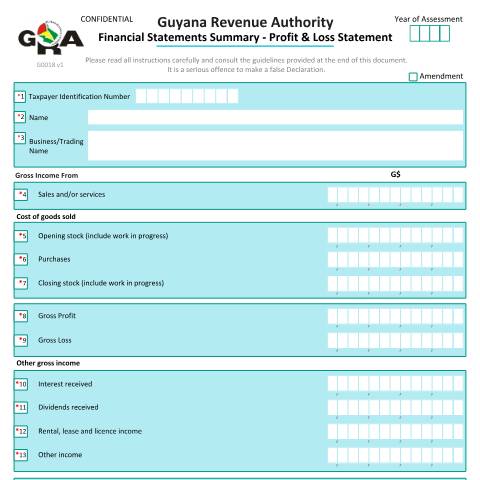 Document preview: G0018 Fin Statements Summary Profit Loss v2 — Administrative Forms, Guyana