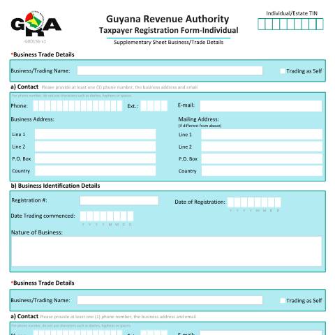 Document preview: G0015b Taxpayer Registration Form Individual Supplementary Business Details v1 — PAYE & Payroll, Guyana