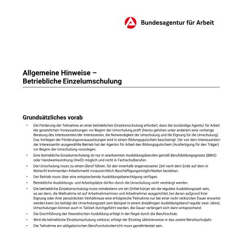 Dokumentvorschau: allgemeine-hinweise-betriebliche-einzelumschulung_ba053031 — Öffnet in neuem Tab Allgemeine Hinweise – Betriebliche Einzelumschulung Allgemeine Hinweise zur Förderung der beruflichen Weiterbildung (betriebliche Einzelumschulung) pdf | 236.85 KB | barrierefrei — Familienkasse/allgemeine, Deutschland (CERFA n°allgemeine-hinweise-betriebliche-einzelumschulung_ba053031)