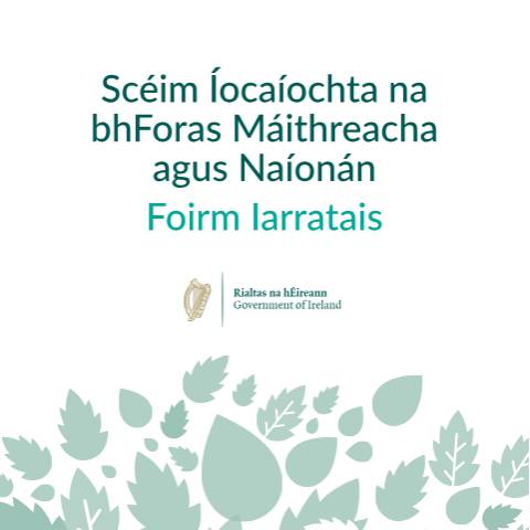 Document preview: How to apply to the Payment Scheme — payment scheme irish form — Department of Children, Disability and Equality, Ireland