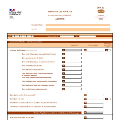 Aperçu du document Impôt sur les sociétés (IS) - Relevé d'acompte — Professionnels, France (CERFA n°12403*24)