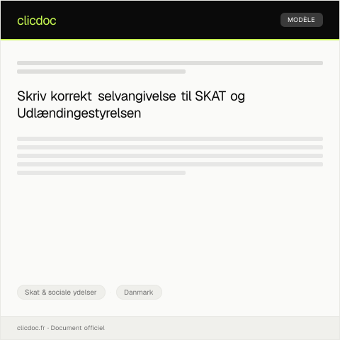Document preview: Indsendelse af selvangivelse for det forgangne år — Skat & sociale ydelser, Danmark