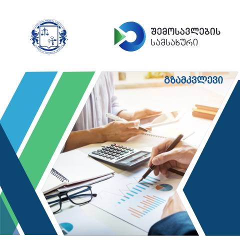 Document preview: გზამკვლევი — Inშi საგადასახადო/ოფიციალური დოკუმენტები, საქართველო