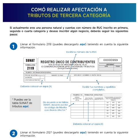 Vista previa del documento Instructivo para afectación a tributos de tercera categoría — TRAMITES DE RUC, Perú