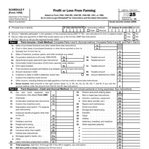 Document preview: IRS Form f1040sf — IRS, United States (CERFA n°1040SF)