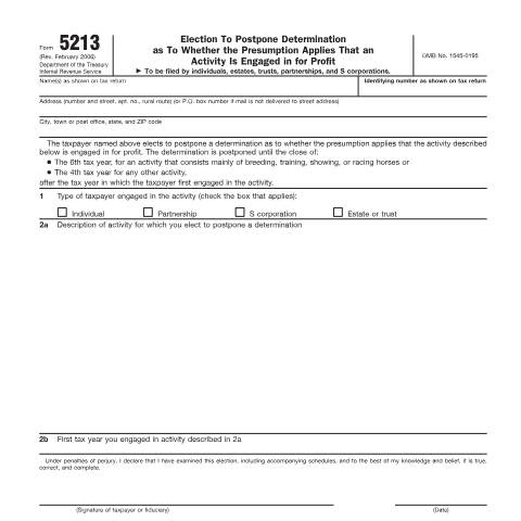 Document preview: IRS Form f5213 — IRS, United States (CERFA n°5213)