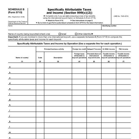 Document preview: IRS Form f5713sb — IRS, United States (CERFA n°5713SB)