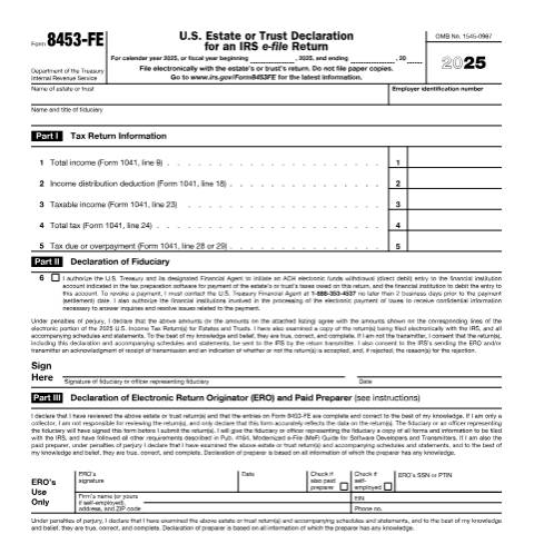 Document preview: IRS Form f8453fe — IRS, United States (CERFA n°8453FE)