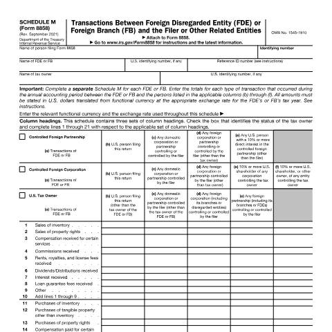 Document preview: IRS Form f8858sm — IRS, United States (CERFA n°8858SM)