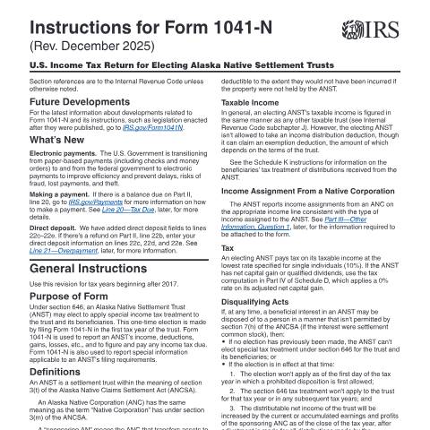 Document preview: IRS Instructions i1041n — IRS, United States (CERFA n°INST-1041N)