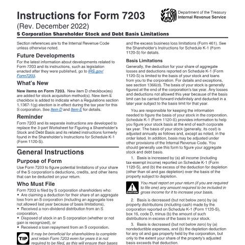 Document preview: IRS Instructions i7203 — IRS, United States (CERFA n°INST-7203)