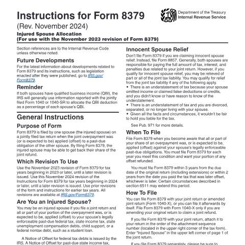 Document preview: IRS Instructions i8379 — IRS, United States (CERFA n°INST-8379)