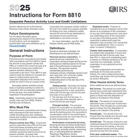 Document preview: IRS Instructions i8810 — IRS, United States (CERFA n°INST-8810)