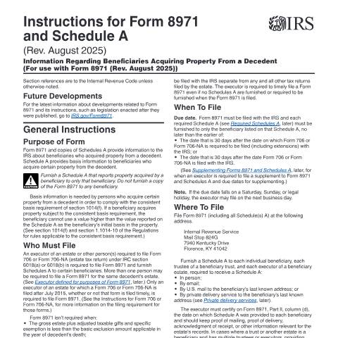 Document preview: IRS Instructions i8971 — IRS, United States (CERFA n°INST-8971)