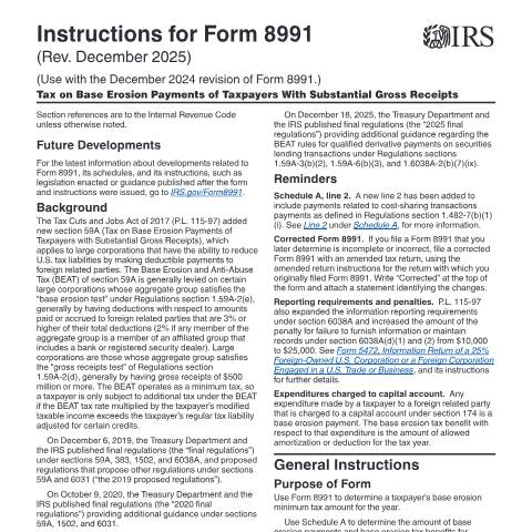 Document preview: IRS Instructions i8991 — IRS, United States (CERFA n°INST-8991)