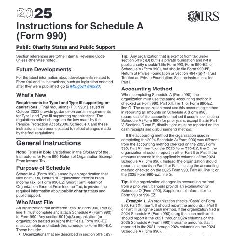Document preview: IRS Instructions i990sa — IRS, United States (CERFA n°INST-990SA)