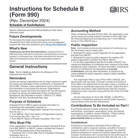 Document preview: IRS Instructions i990sb — IRS, United States (CERFA n°INST-990SB)