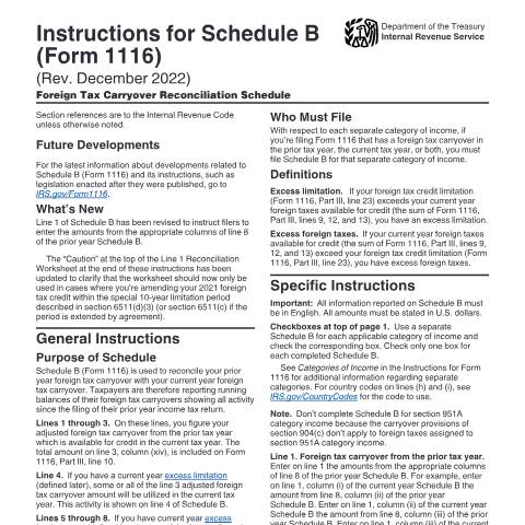 Document preview: IRS Instructions i1116sb — IRS, United States (CERFA n°INST-1116SB)