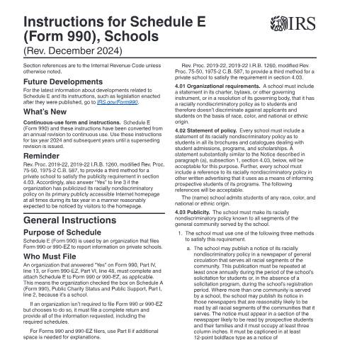 Document preview: IRS Instructions i990se — IRS, United States (CERFA n°INST-990SE)