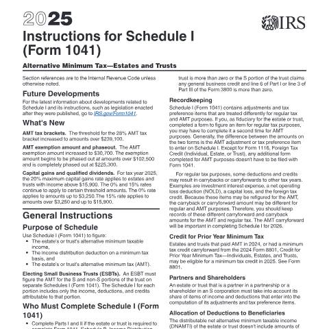 Document preview: IRS Instructions i1041si — IRS, United States (CERFA n°INST-1041SI)