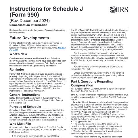 Document preview: IRS Instructions i990sj — IRS, United States (CERFA n°INST-990SJ)