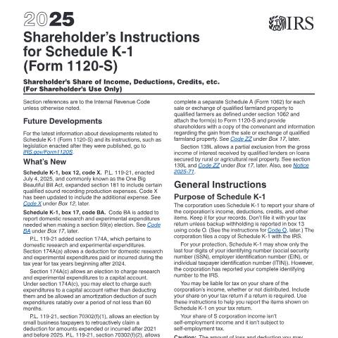 Document preview: IRS Instructions i1120ssk — IRS, United States (CERFA n°INST-1120SSK)