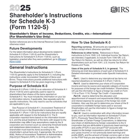 Document preview: IRS Instructions i1120sk3 — IRS, United States (CERFA n°INST-1120SK3)