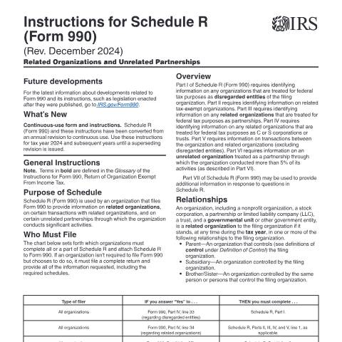 Document preview: IRS Instructions i990sr — IRS, United States (CERFA n°INST-990SR)
