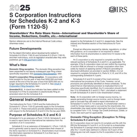 Document preview: IRS Instructions i1120s23 — IRS, United States (CERFA n°INST-1120S23)