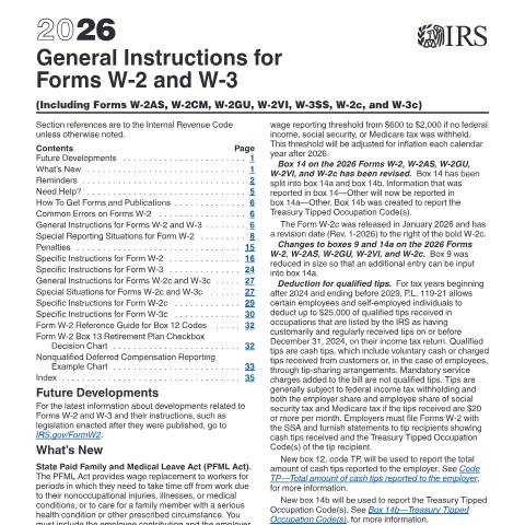 Document preview: IRS Instructions iw2w3 — IRS, United States (CERFA n°INST-W2W3)